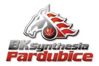 LK_basket logo_obr