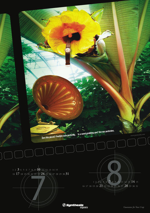 Kalendář Synthesia 2005_4