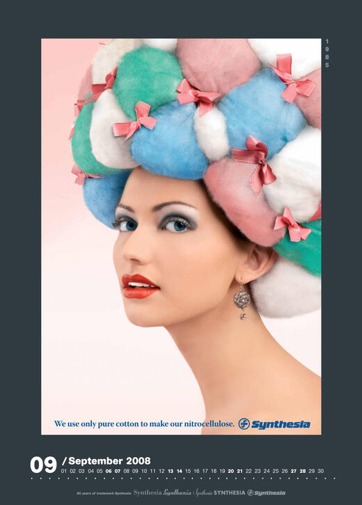 Kalendáře Synthesia 2008_9