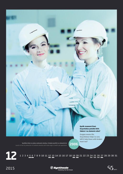 Kalendář Synthesia 2015_12